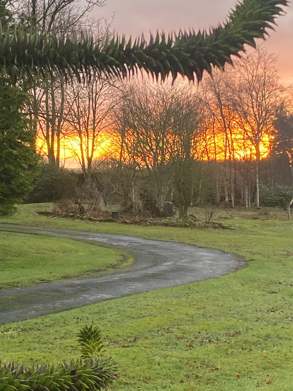 I have never seen a sunset that I didn’t like. Some, however, are more likeable than&nbsp;others.